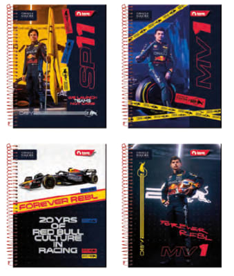 CUAD.TOP REDBULL RACING 7M 150H TORRE