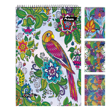 CROQ.LIM.PAD 21X32 COLOR 80H TORRE