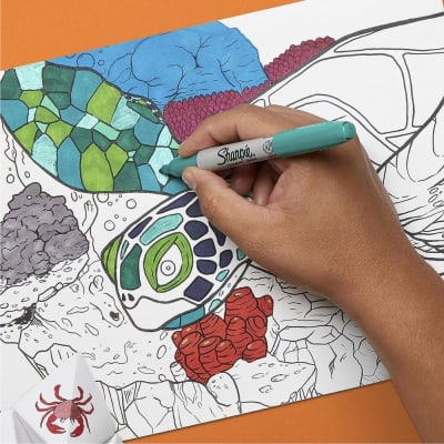 SHARPIE ULTIMATE PACK 3.0 45CT