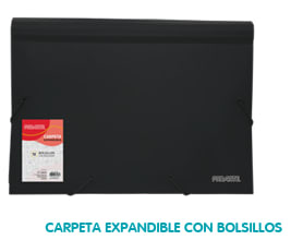 CARPETA EXPANDIBLE 13 BOLSILLOS A4 NEGRO PROARTE