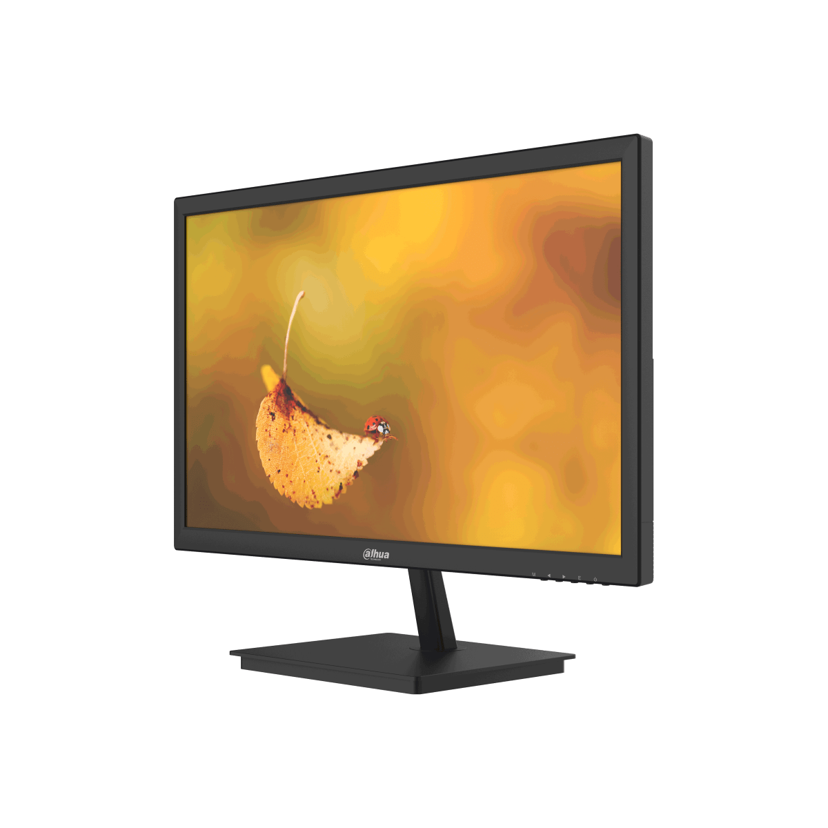 TELEVISOR / MONITOR Profesional 24