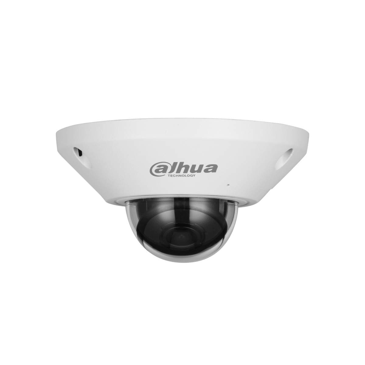 Camara ip Ojo De Pez 360° 5Mp Wis Mind Ip67 Ik10 Audio DAHUA2