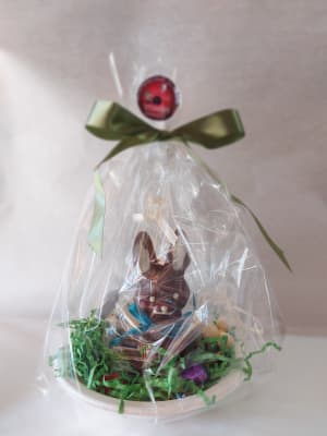 NIDO CONEJO MACHO 450gr1