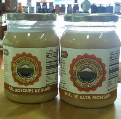 MIEL BOSQUES DE ULMO 1Kg MIEL BOSQUES DE ULMO 1Kg