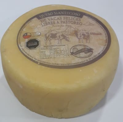 Queso mantecoso Queso mantecoso