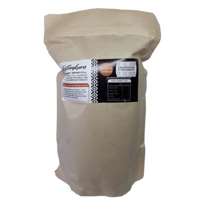 BOLETUS LUTEUS HONGOS 100 g1