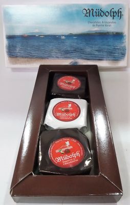 Caja 3 alfajores surtidos manjar + frutos de 70 g c/u1