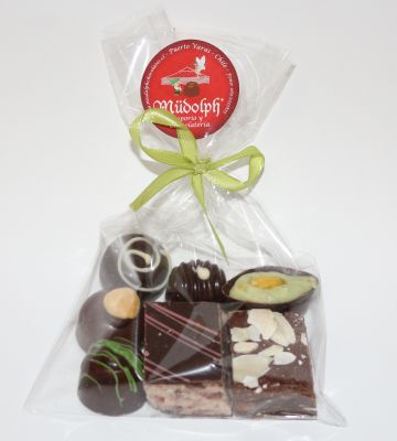 CHOCOLATE SURTIDO 100 g CHOCOLATE SURTIDO 100 g