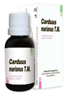 Carduus marianus T.M Carduus marianus T.M