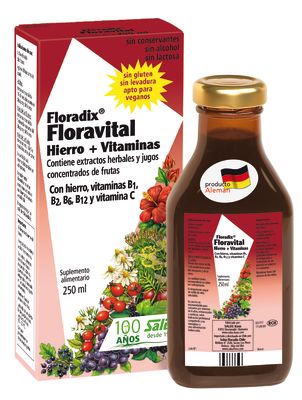 Floradix Floravital (Hierro+Vitaminas B1,B2,B6,B12,VitC) Floradix Floravital (Hierro+Vitaminas B1,B2,B6,B12,VitC)