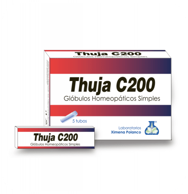 Thuja C200 Thuja C200