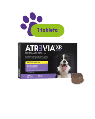 Atrevia XR 20 kg - 40 kg 1 tableta1