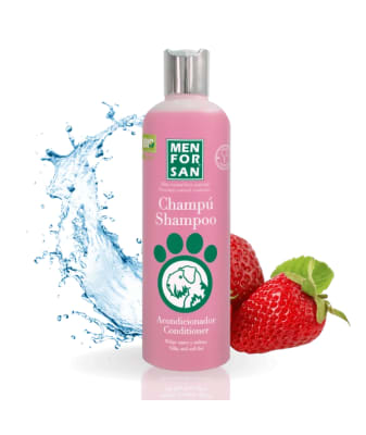 Men For San Shampoo Acondicionador1