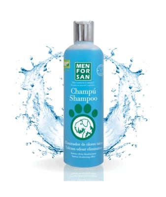 Men For San Shampoo Eliminador de olores talco 300ml1