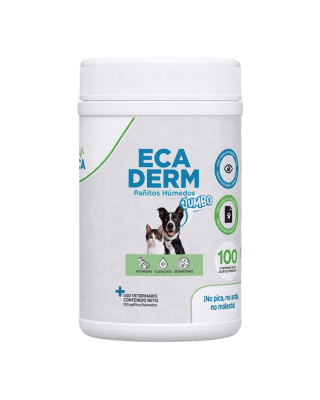 Labeca Ecaderm Pañitos Humedos Jumbo 100und1