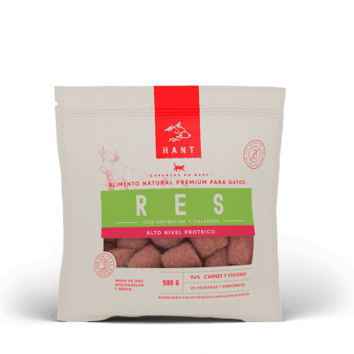 Hant Gato: Res (Verde)1