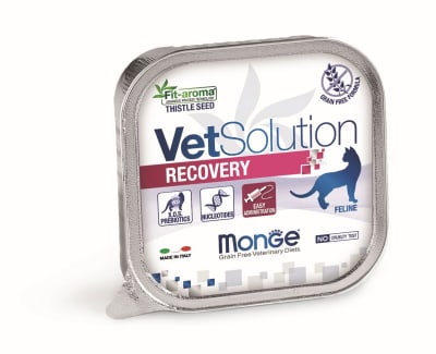 Monge Vet Feline - Pate Recovery 100 gr2