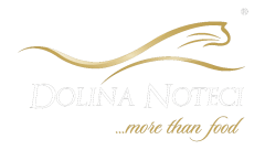 DOLINA NOTECI