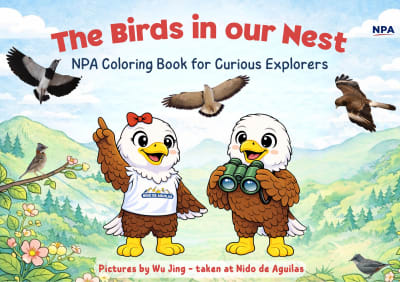 Coloring Book Kit