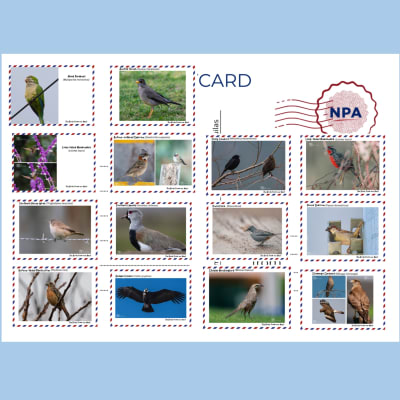 Postcards