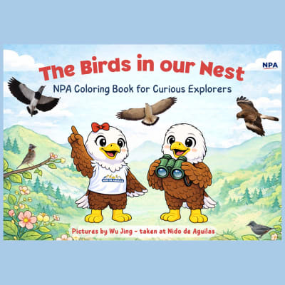 Coloring Book