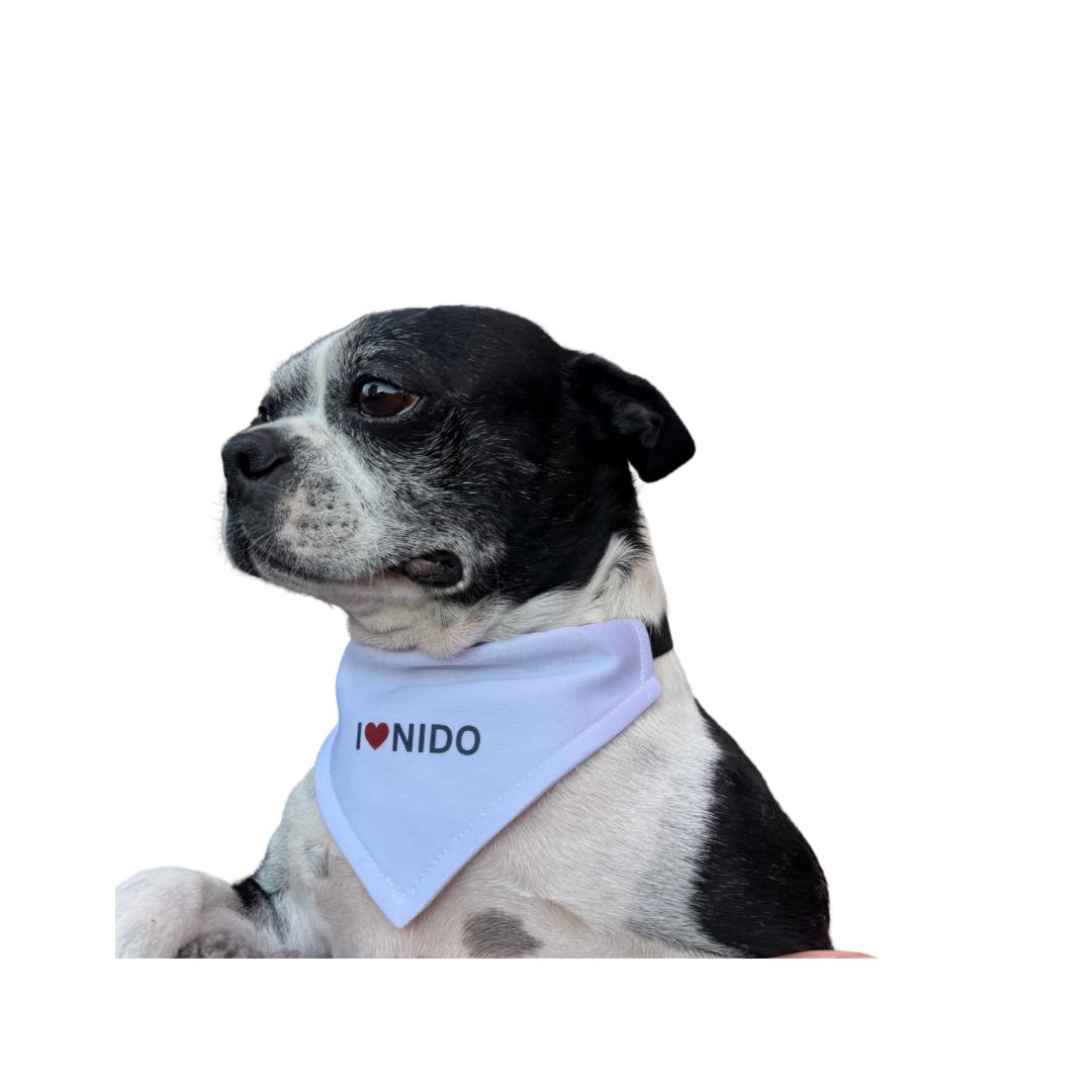 Pet Bandannas2