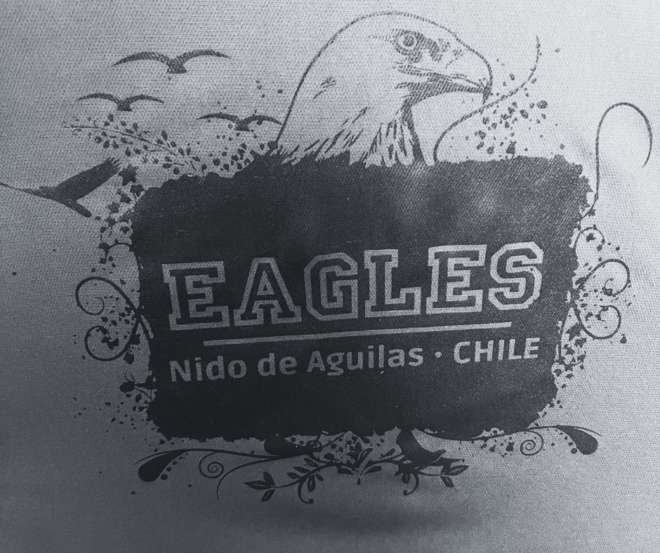 Dry-fit Eagles T-shirt1