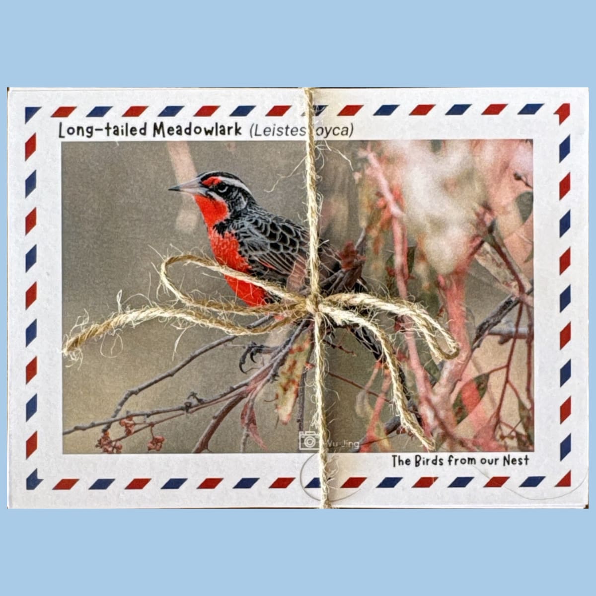 Postcards2