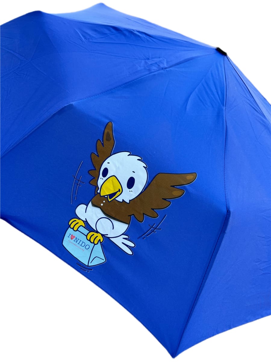 Team Nido Umbrella Kids2