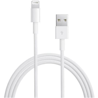 PC BEACH CABLE LIGHTNING TO USB 1M MD818FE2