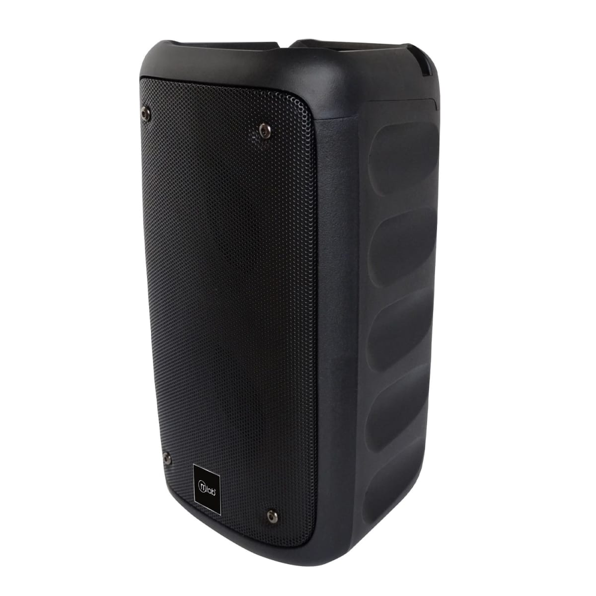 MLAB SPEAKER FLAMING WALK BASS4