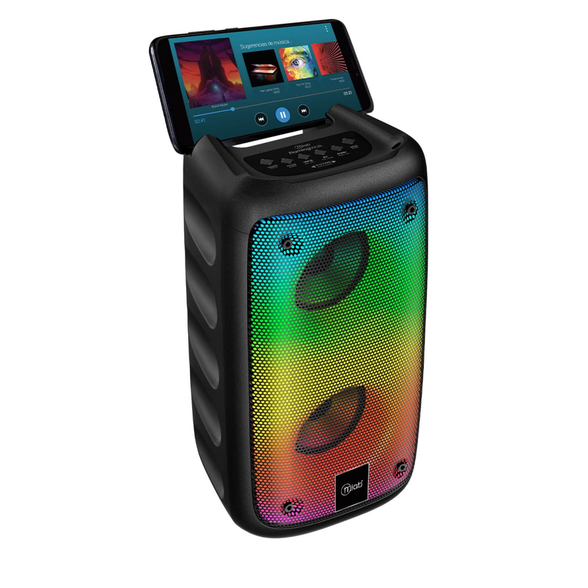 MLAB SPEAKER FLAMING WALK BASS2
