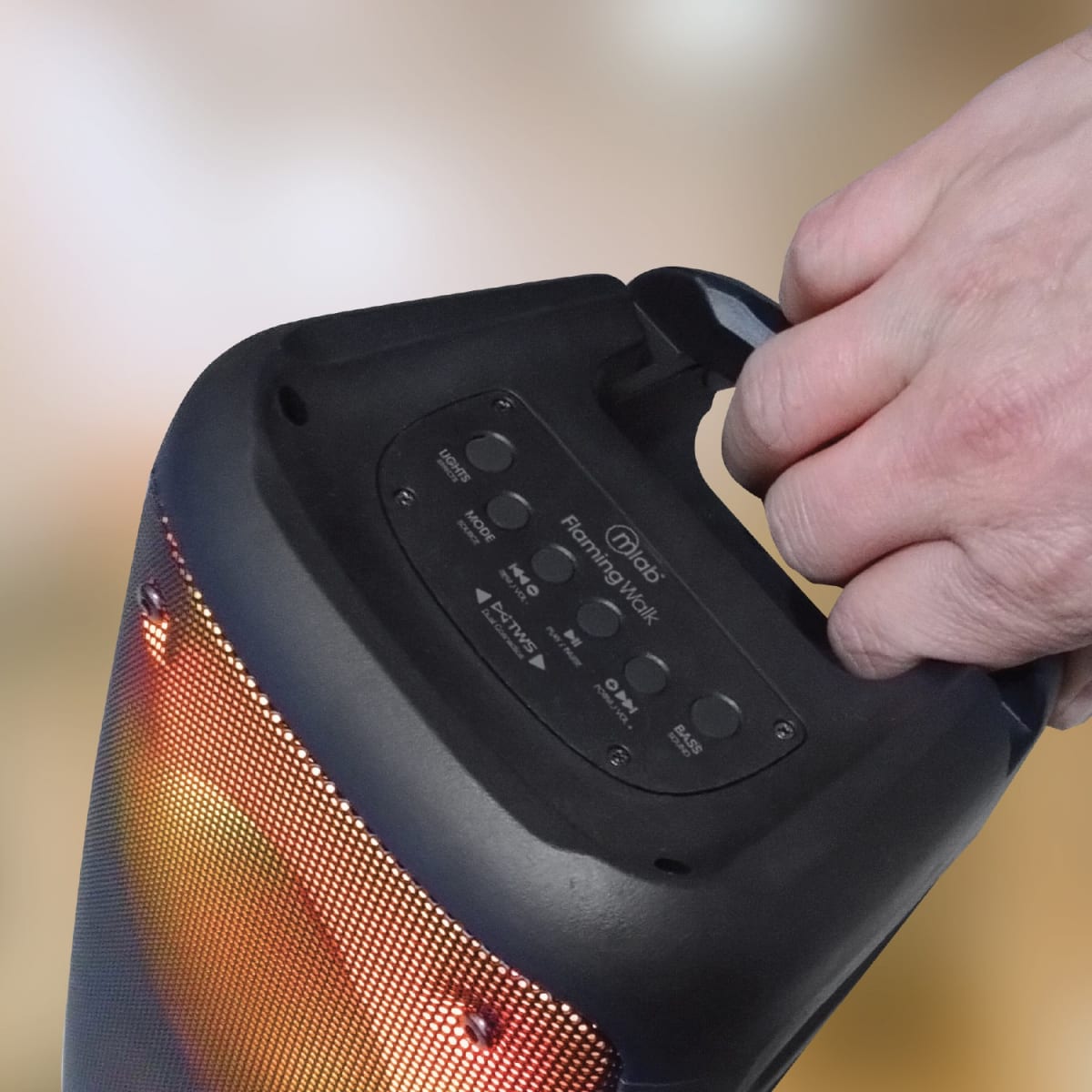 MLAB SPEAKER FLAMING WALK BASS5