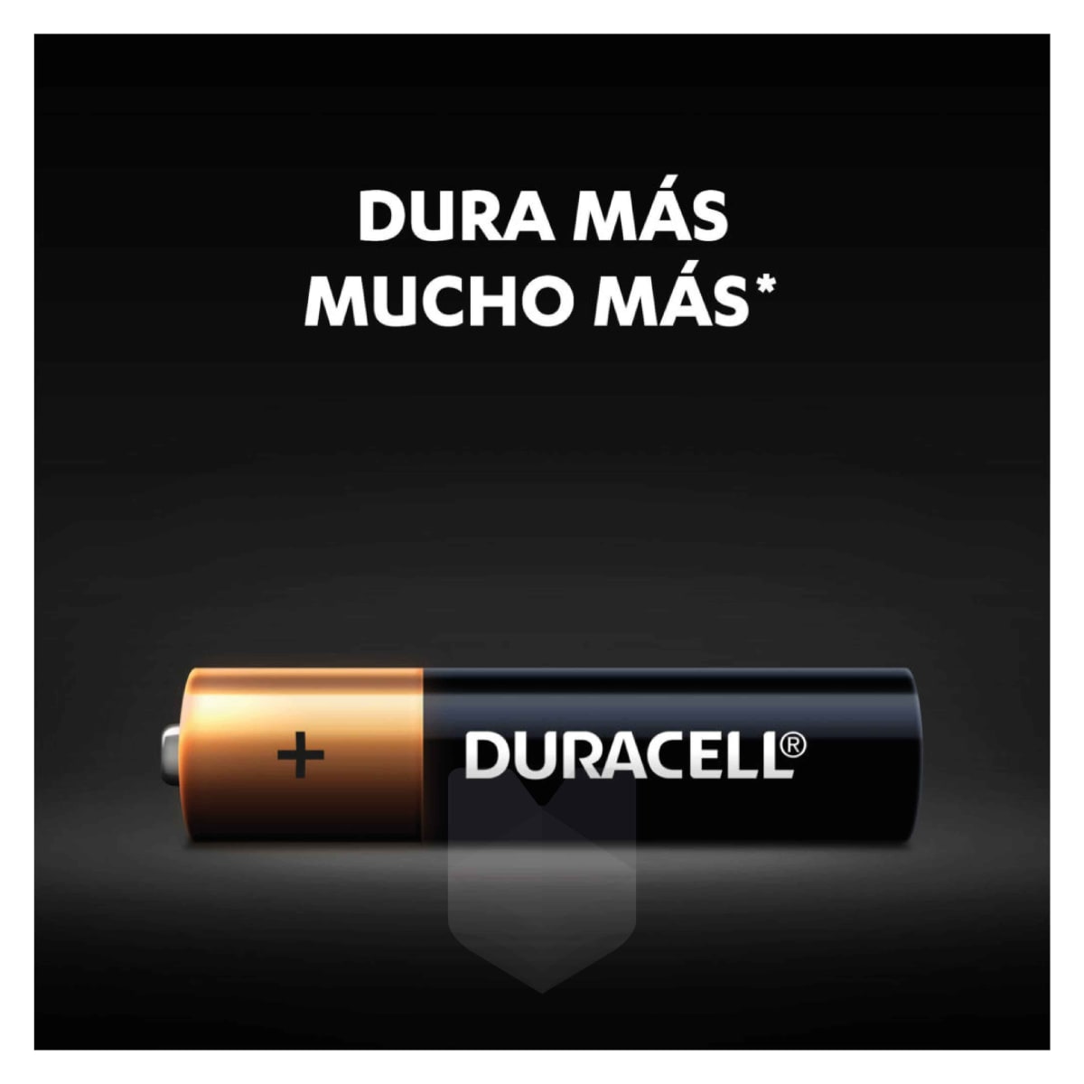 PILA AA 1 DURACELL ALCALINA 1.5V2