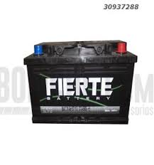 BATERIA FIERTE 54321 45 AMP
