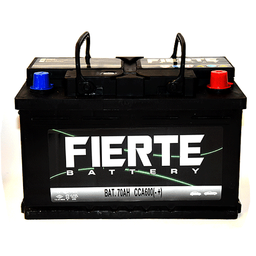 BATERIA FIERTE 571132