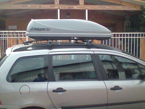 PORTAEQUIPAJE CALGARY 450 LT2