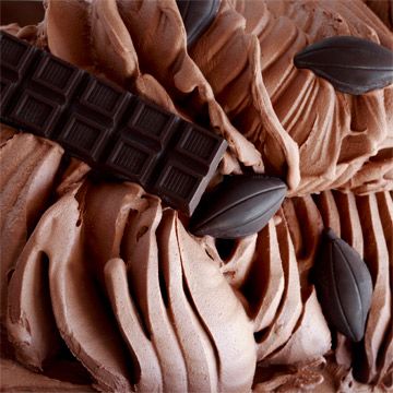 JOYCACAO 22/24 JOYCACAO 22/24