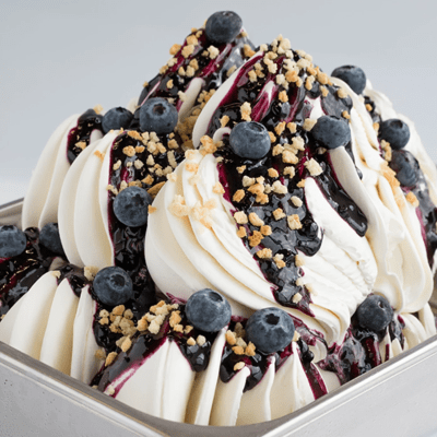 JOYGELATO CHEESECAKE 1KG