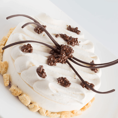 JOYGELATO MASCARPONE 800GR