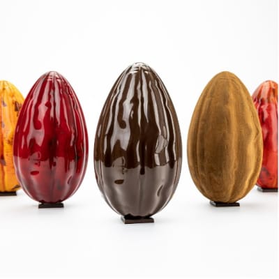 CACAO 21U506 CACAO 21U506