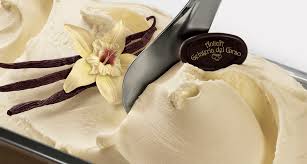 JOYPASTA VAINILLA MADAGASCAR 1.2KG