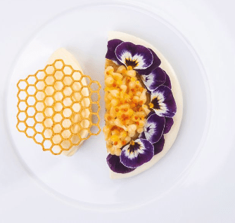 GOURMAND PANAL GG047