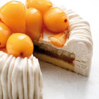 KE087S CHARLOTTE TARTA KE087S CHARLOTTE TARTA