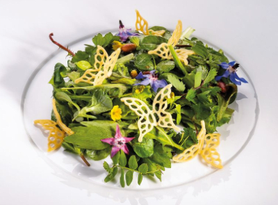 MOLDE DE MARIPOSA GG051 MOLDE DE MARIPOSA GG051