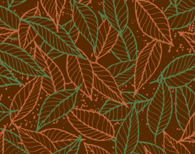 CHOCOTRANSFER SD201SB