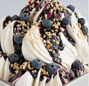 JOYGELATO MASCARPONE 800GR JOYGELATO MASCARPONE 800GR