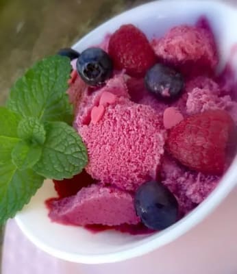 JOYPASTE FRUTOS DE BOSQUE 1.2KG