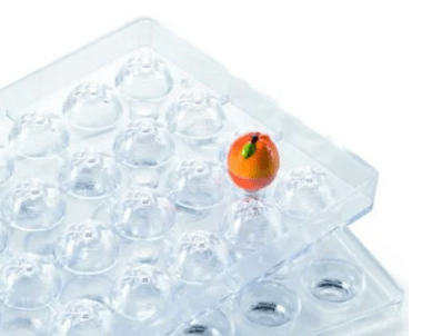 NARANJA 3D 20FRUIT05