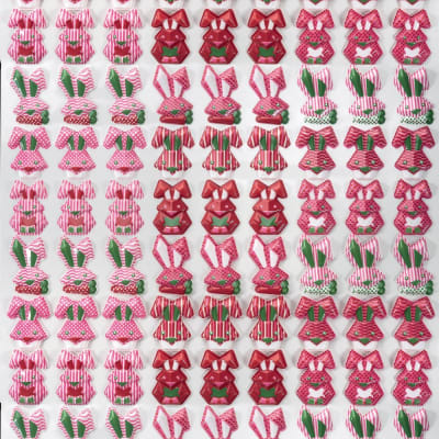 MOLDE SEGRIGRAFIADO CONEJO T857